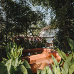 Dip Garden Onsen & Ice Bath - Outdoor Plunge